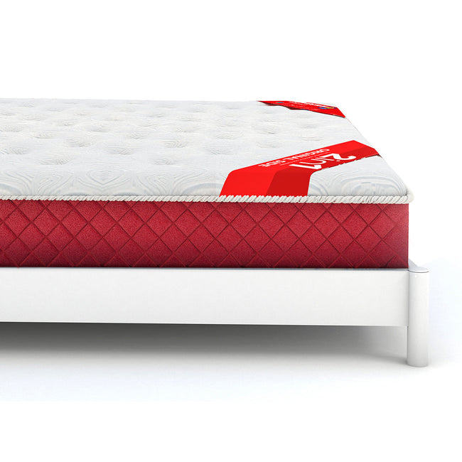 MoltySleep Executive