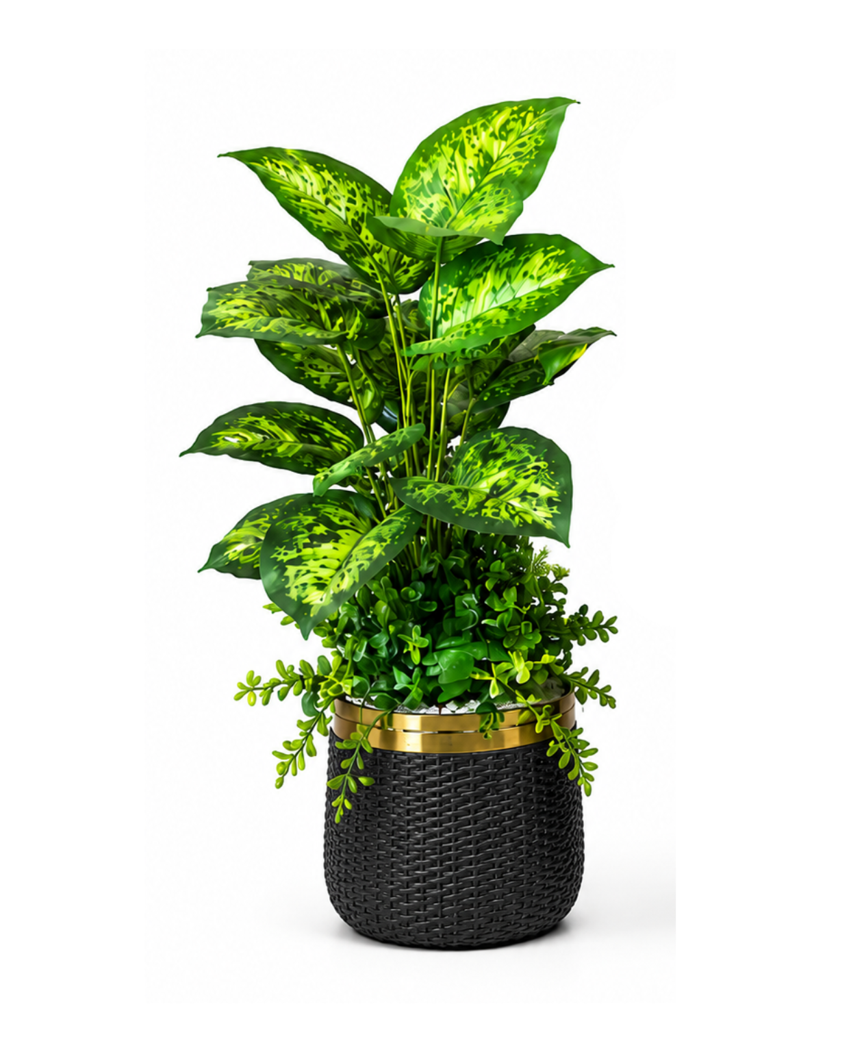 Artificial Dieffenbachia plant with trailing greens in white and gold woven pot — indoor decor Pakistan