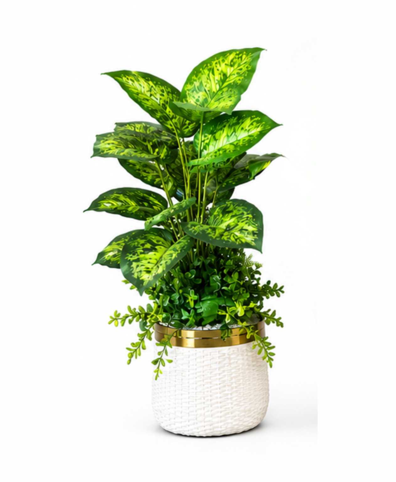 Artificial Dieffenbachia plant with trailing greens in white and gold woven pot — indoor decor Pakistan