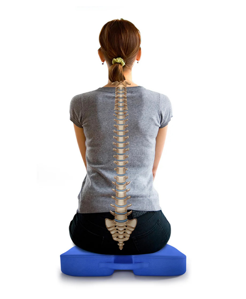 Coccyx Cushion