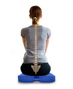 Coccyx Cushion