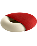 Ring Cushion