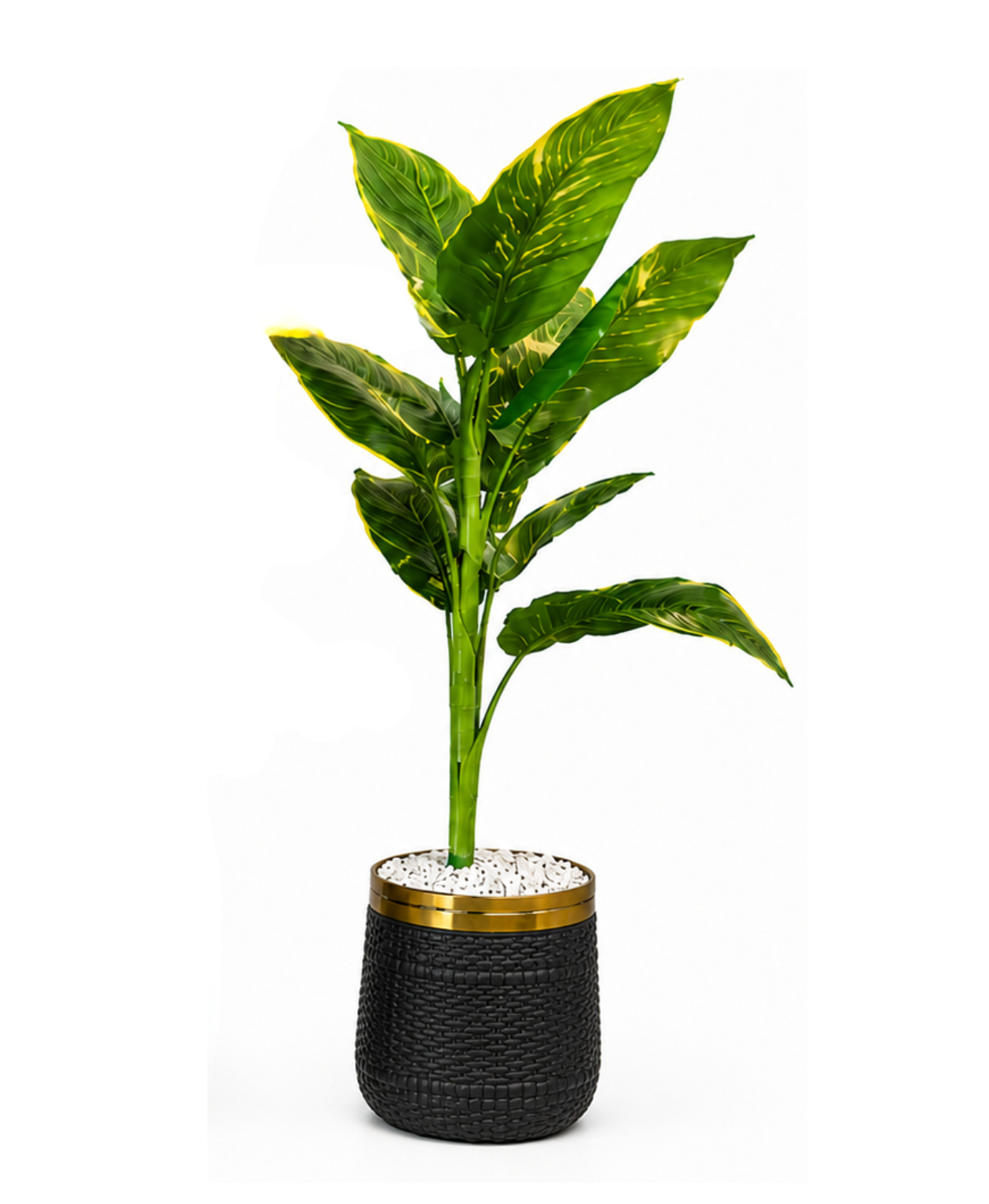 Artificial Variegated Tropical Plant Pakistan | Large Indoor Decor