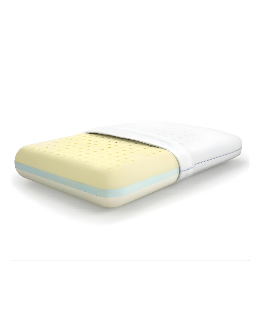MoltyMemory 2in1 Pillow