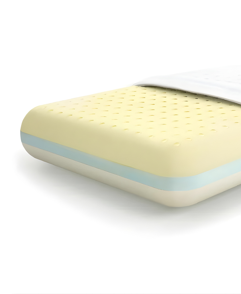 MoltyMemory 2in1 Pillow