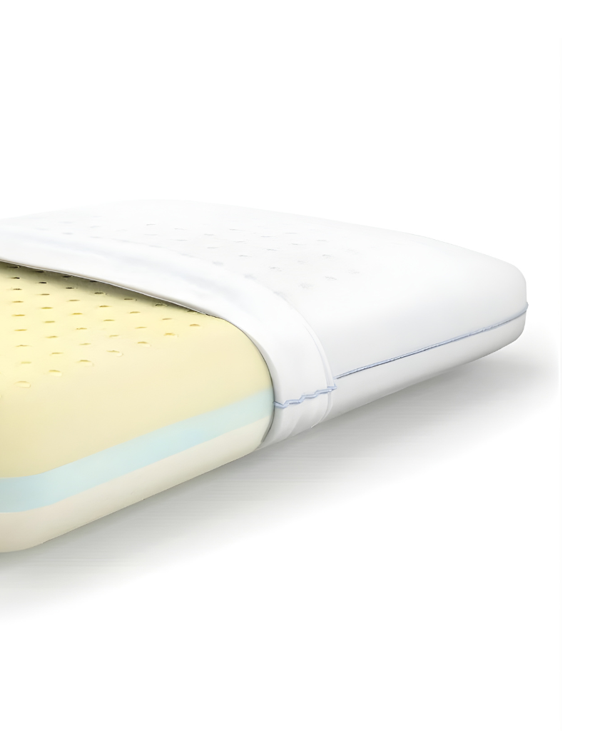 MoltyMemory 2in1 Pillow