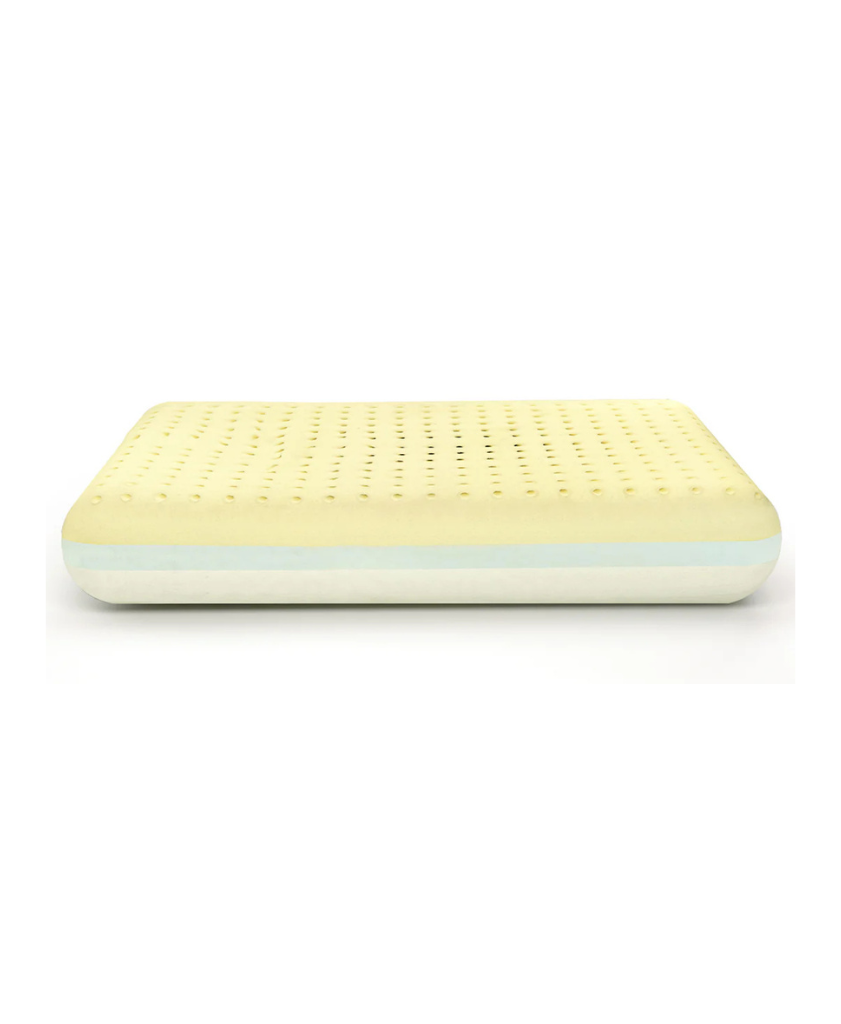 MoltyMemory 2in1 Pillow