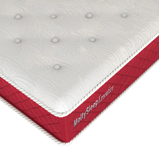 MoltySleep Executive