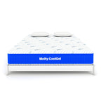Molty Cool Gel 7 Zone