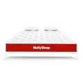 Molty Sleep