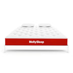 Molty Sleep
