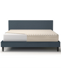 Mattress Protector