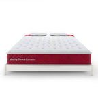 MoltySleep Executive
