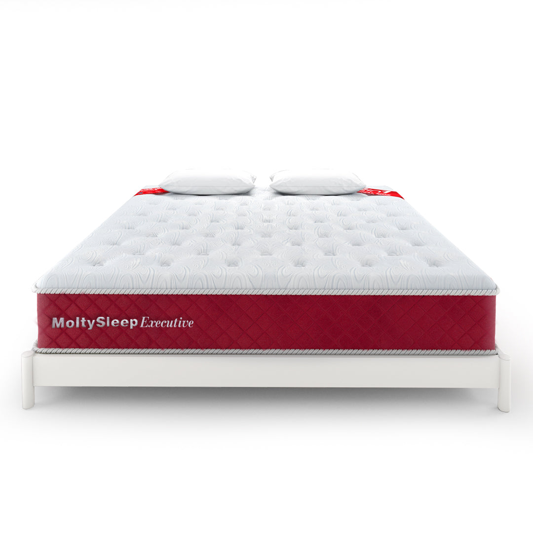 MoltySleep Executive